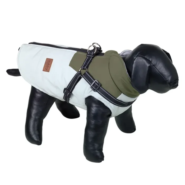 2 in 1 dog coat Nobby Pet Jona [Size 26 cm]
