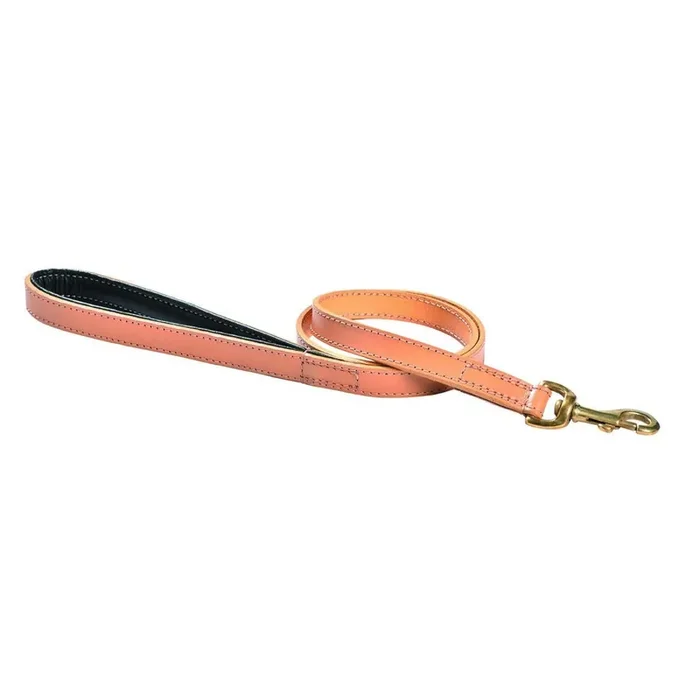 3-position dog leash Bobby Walk [Size 2×100 cm]