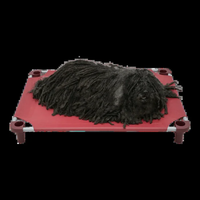 4Legs4Pets Solid Color Premium Weave Dog Cot – Burgundy