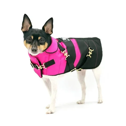 “Fun with Fuschia” – DCNY Equestrian Collection | ElitePawPalace