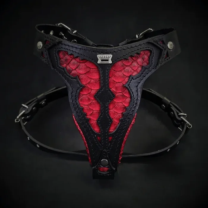 ”Red Dragon” harness Medium Size