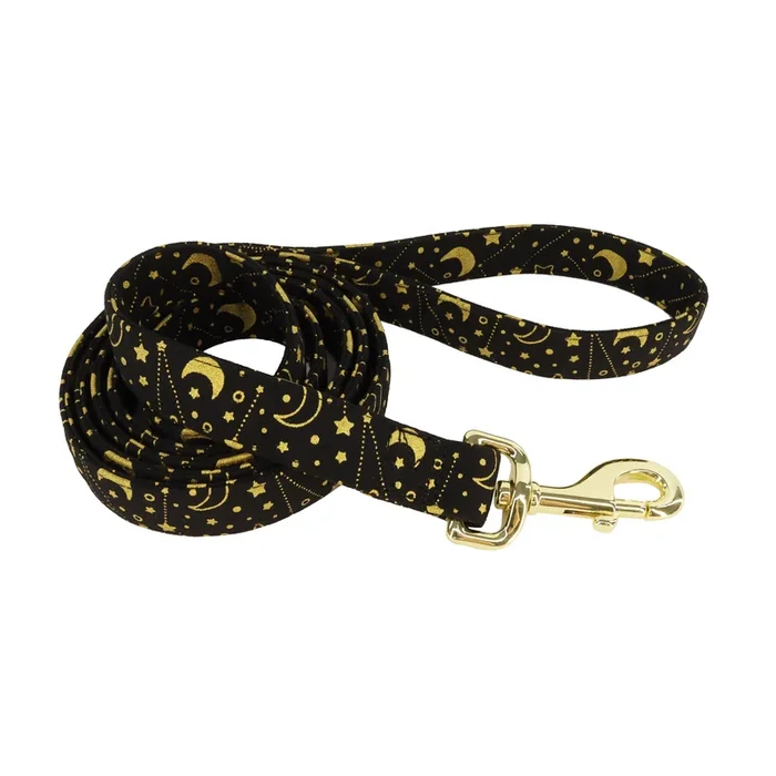 Accent Metallic Dog Leash Stars 5/8″ x 6 ‘
