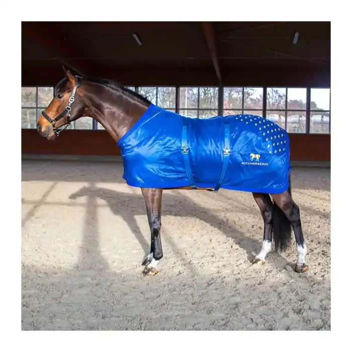 Acupressure mat for the back Accuhorsemat Original