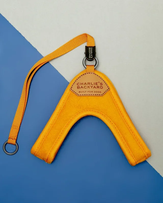Adjustable Easy Dog Harness in Yellow (Dog & Co. X Charlie’s Backyard Exclusive)