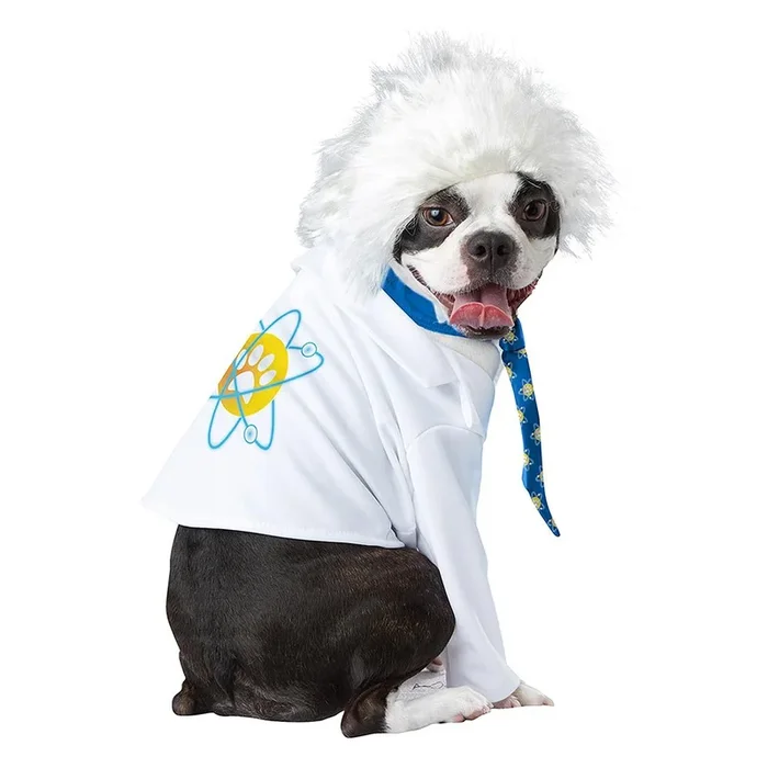 Al-Bark Einstein Dog Costume