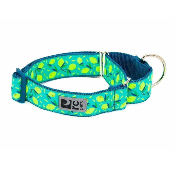 All Webbing Martingale Dog Training Collar – Lemonade