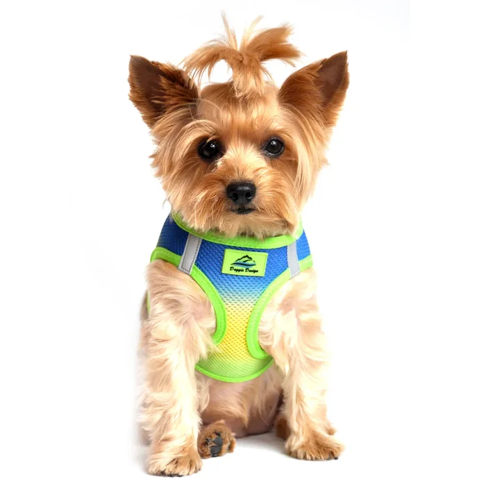American River Choke-Free Dog Harness by Doggie Design – Cobalt Sport Ombre