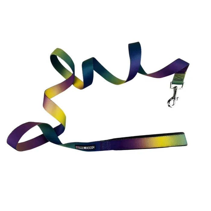 American River Ombre Dog Leash by Doggie Design – Cosmic Splash