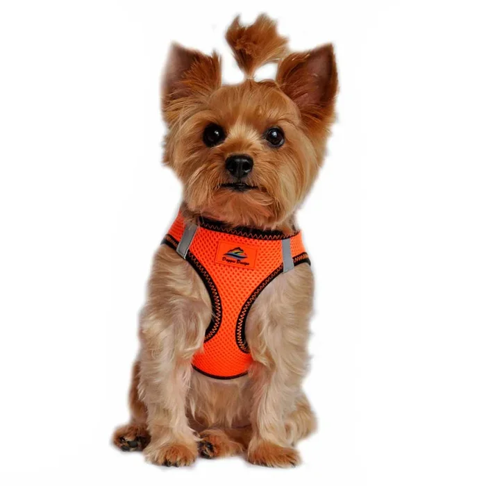 American River Top Stitch Dog Harness by Doggie Design – Iridescent Orange