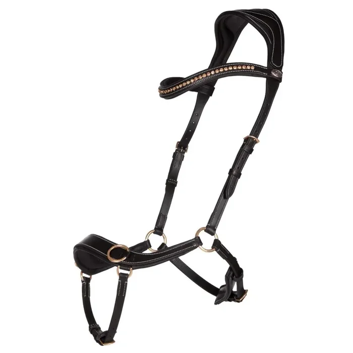 Anatomical bitless bridles QHP