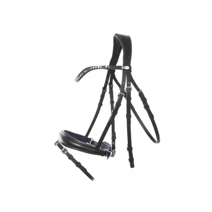 Anatomical riding bridles Kavalkade Ocean