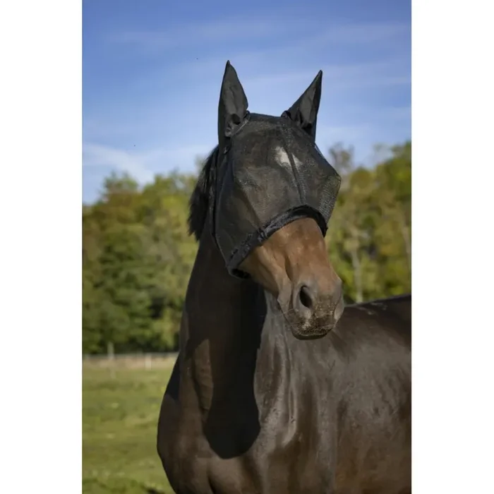 Anti-fly mask for horses Equithème Mesh Q.S.