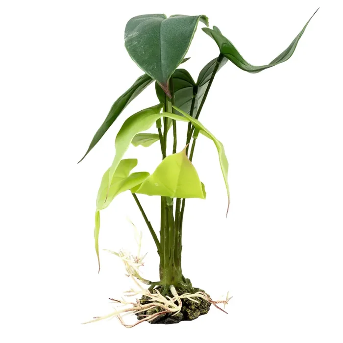 Aquarium decoration alocasia Terra Della [Size 15x15x28 cm]