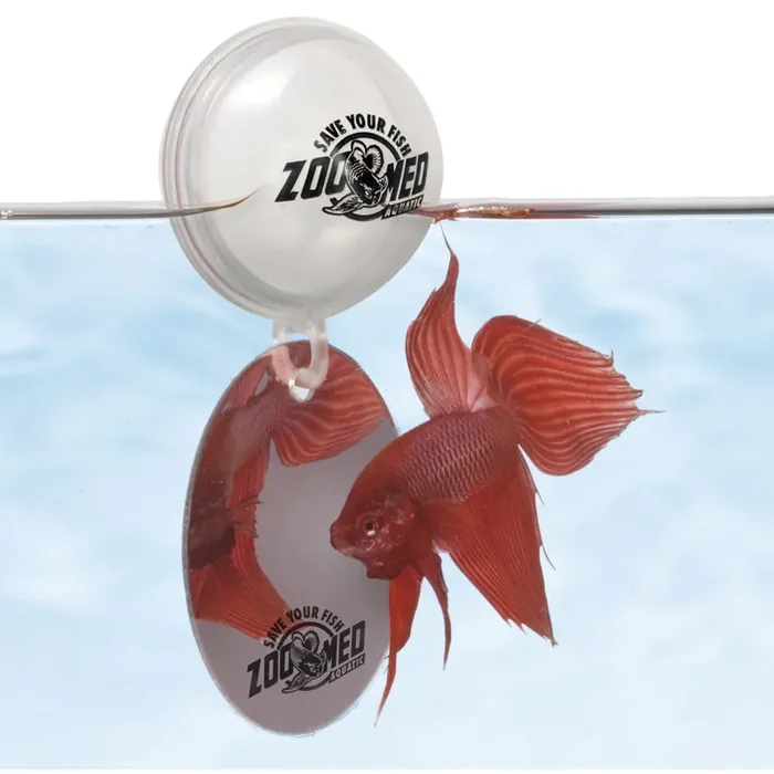 Aquarium decoration Zoomed Betta miroir be10e