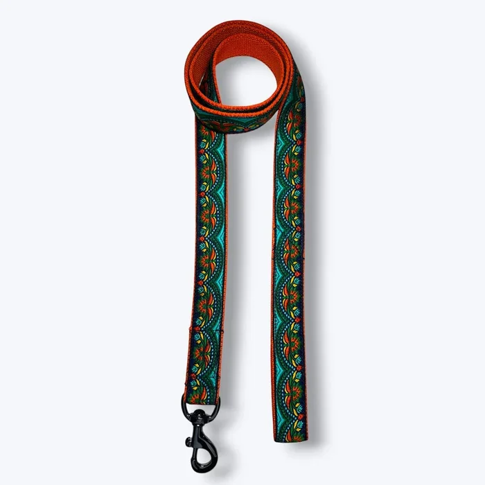 Aramesh Fire and Ice Leash for Dogs (Orange and Green)