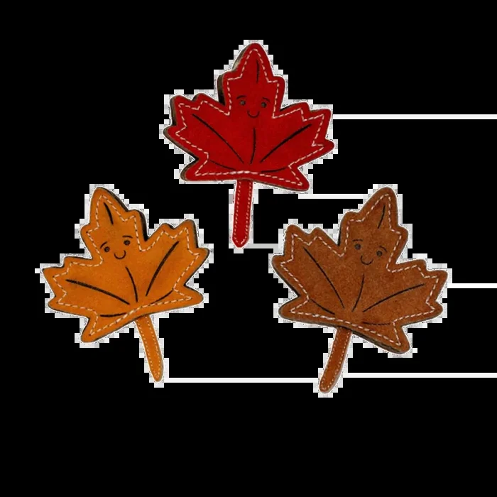 Assorted Autumn Leaves