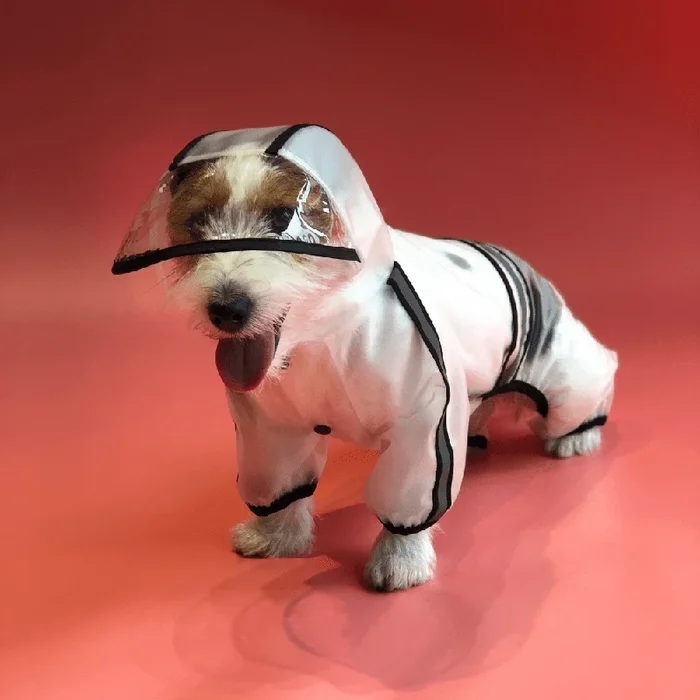 Barkbutler x Fofos Four Leg Black Raincoat for Dogs (Button Up Style)