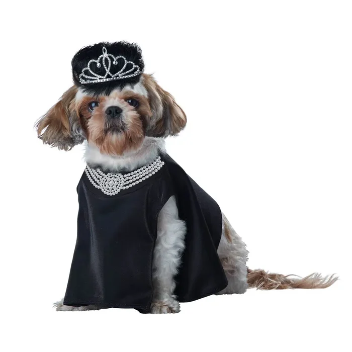 Barkfest at Sniffany’s Dog Costume