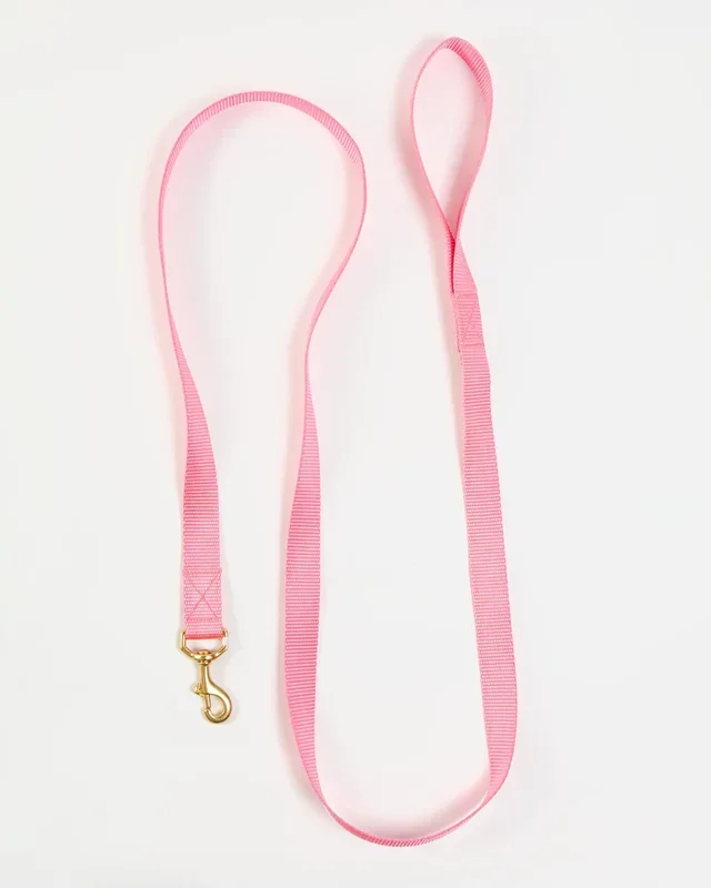 Basic Nylon Dog Leash in Pink (Made in the USA)