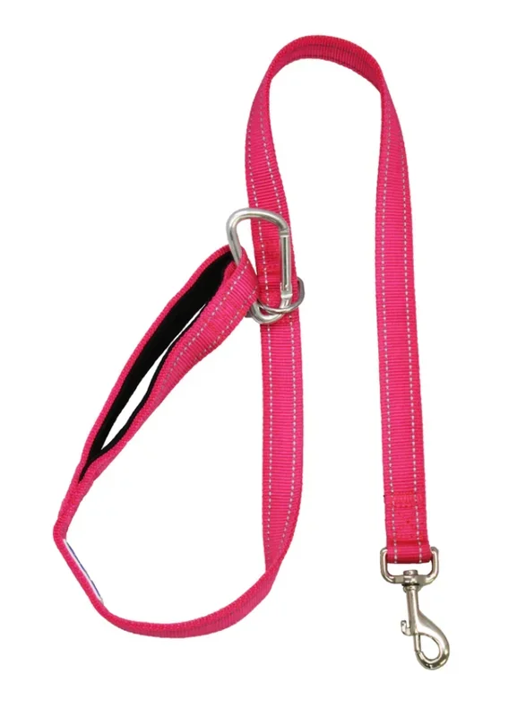 BayDog Hudson Leash, 6 ft. in various colors