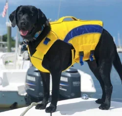 BayDog Monterey Bay Nautical Life Jacket – Yellow