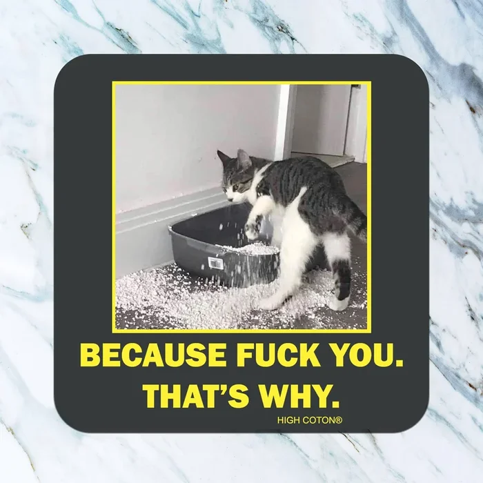 Because F*ck You. That’s Why coaster