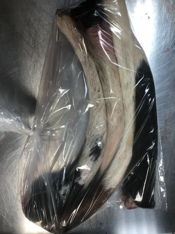 Beef Tail Hair On – Ox Tail