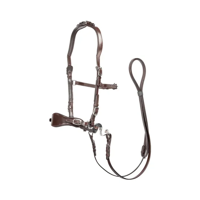 Bitless bridles for horses Edix Saddles ED4- Classic