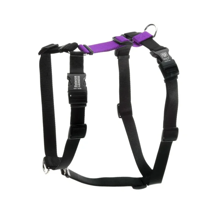 Blue-9 Balance No-Pull Harness Buckle-Neck – Purple