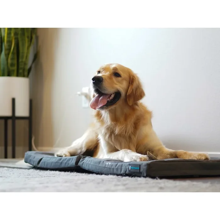 Blue-9 Restore + Double Dog Bed for KLIMB – Gray BED ONLY