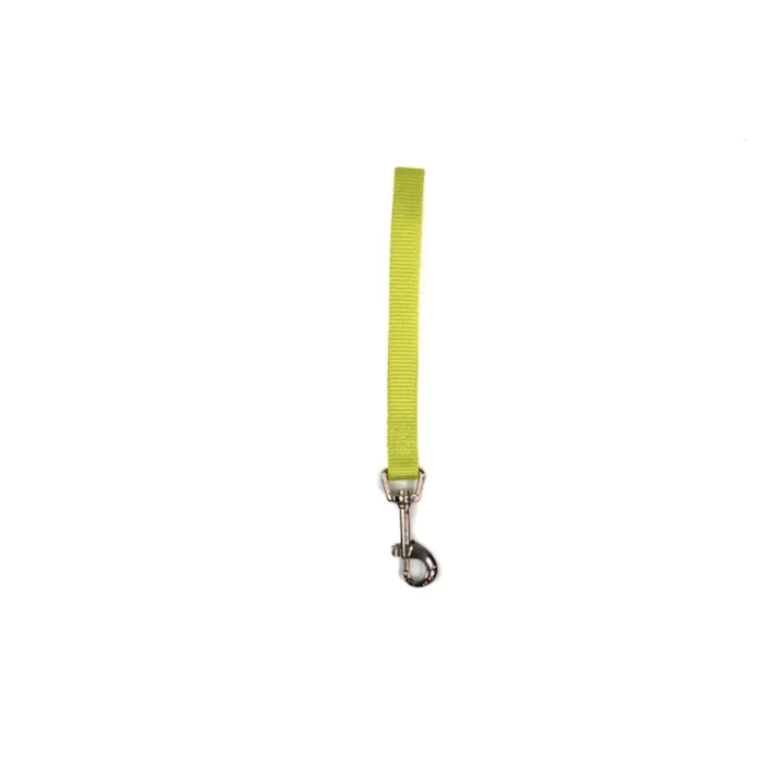 Blue-9 Tab Dog Leash – Lime Green
