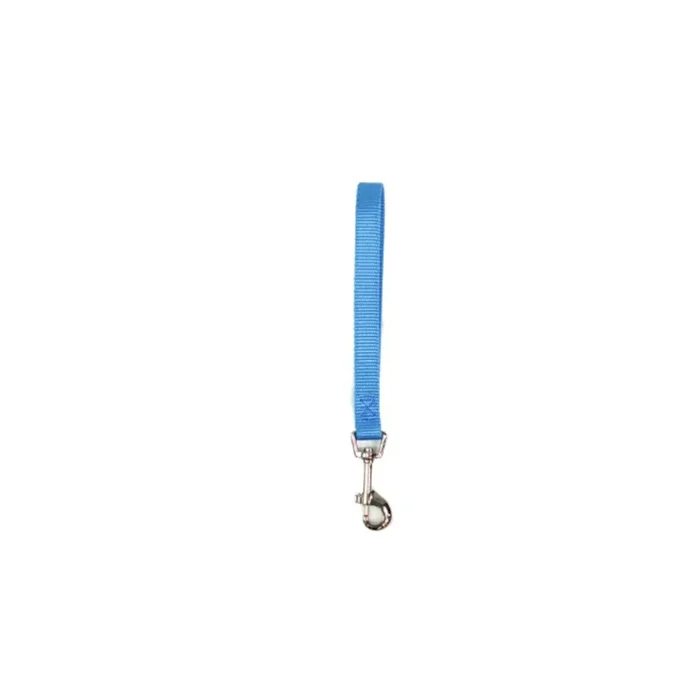 Blue-9 Tab Dog Leash – Sky Blue