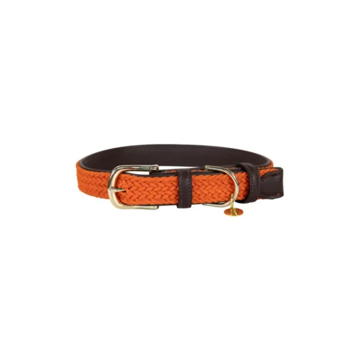 Braided nylon dog collar Kentucky