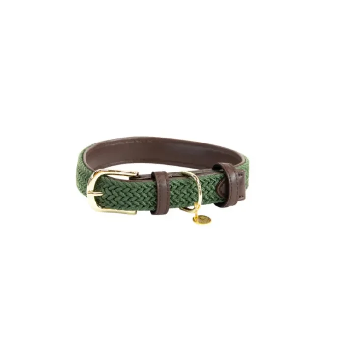 Braided nylon dog collar Kentucky