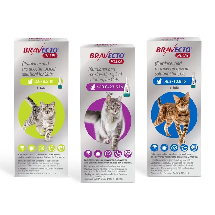 Bravecto PLUS Topical for Cats (2-MONTH)
