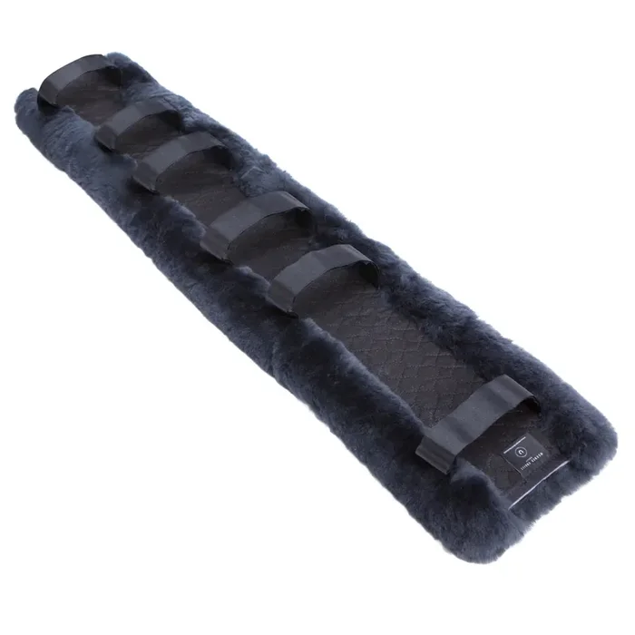 Bridle sheath Werner Christ Horse