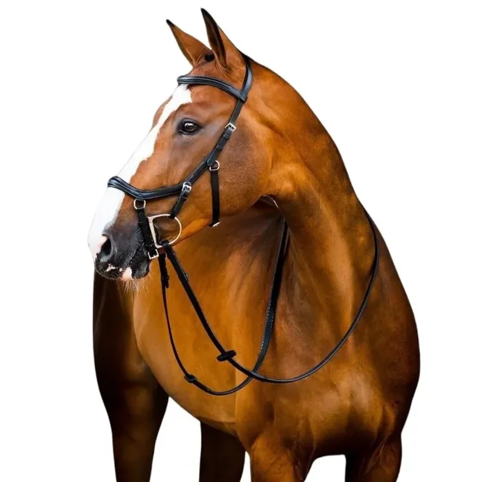 Bridles Horseware Micklem 2 Deluxe