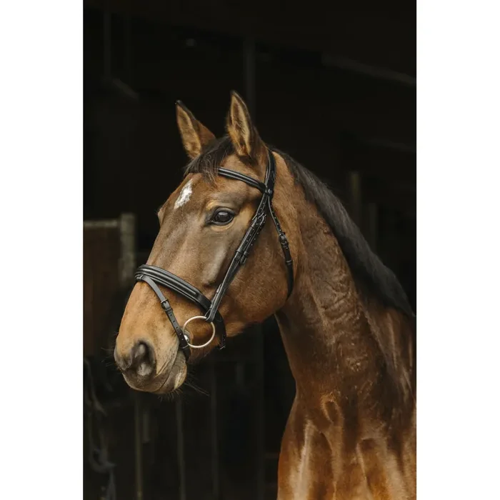 Bridles Norton Pro Apophyse