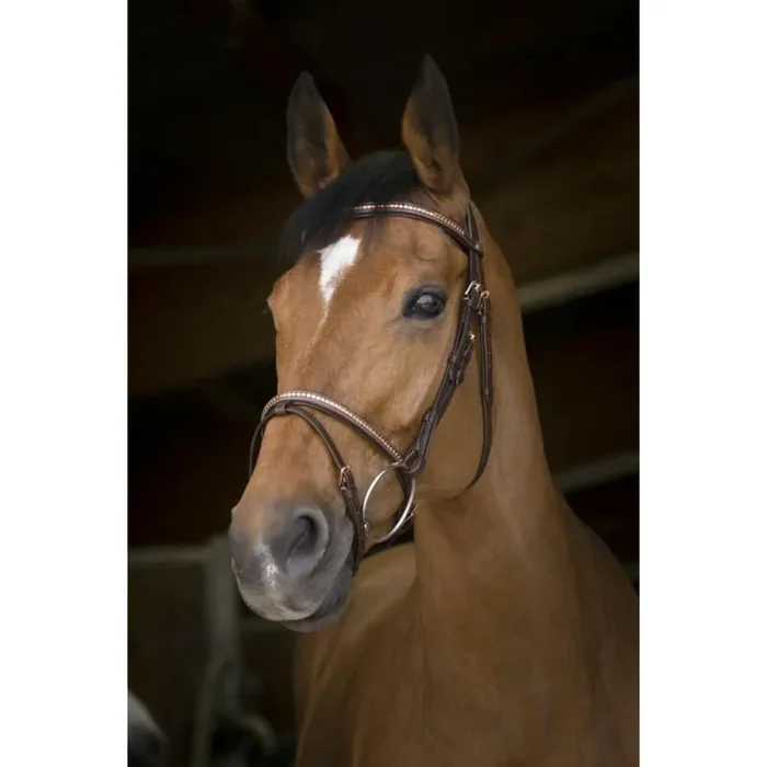Bridles Norton Pro Clincher