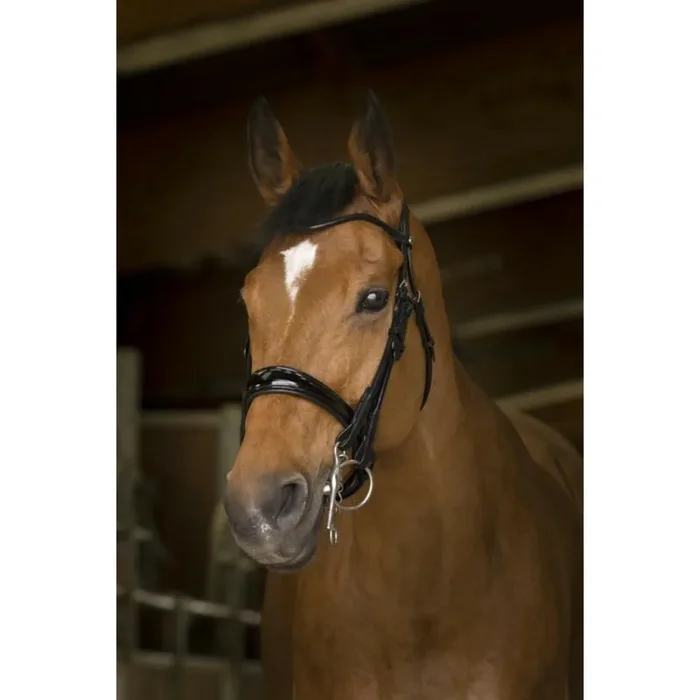 Bridles Norton Pro Cuir rond