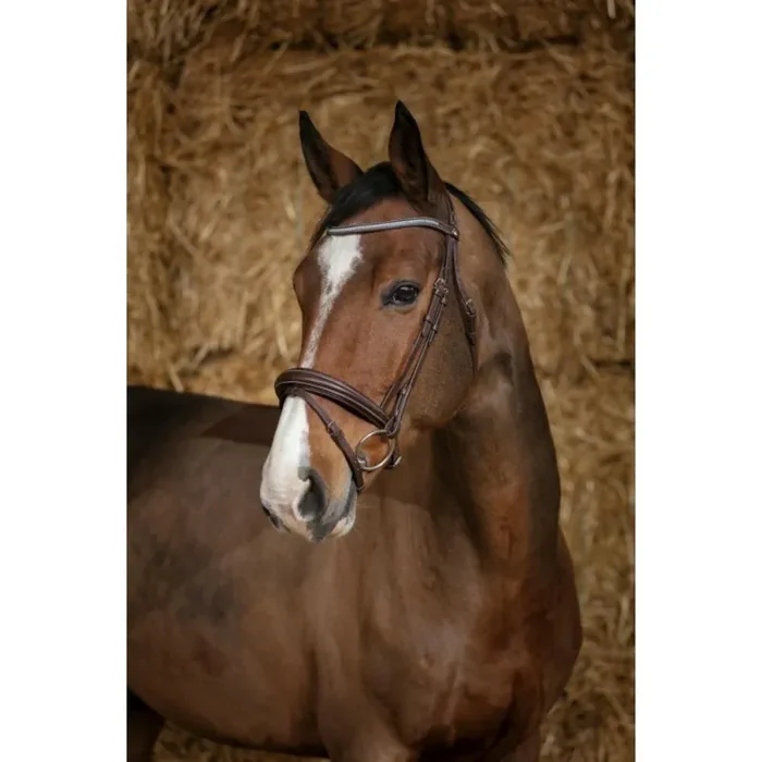 Bridles Norton Pro Diadème