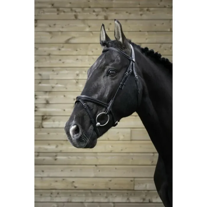 Bridles Norton Pro Fin