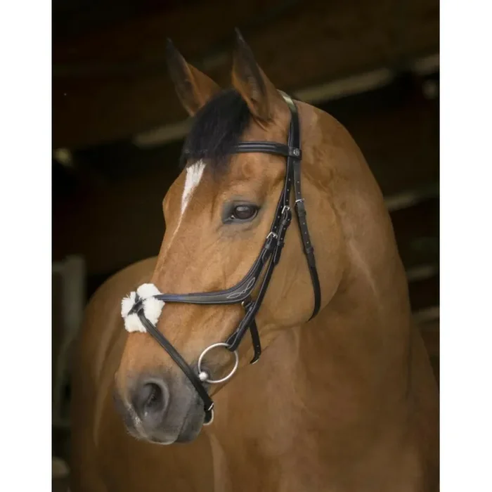 Bridles Norton Pro Muserole croisée