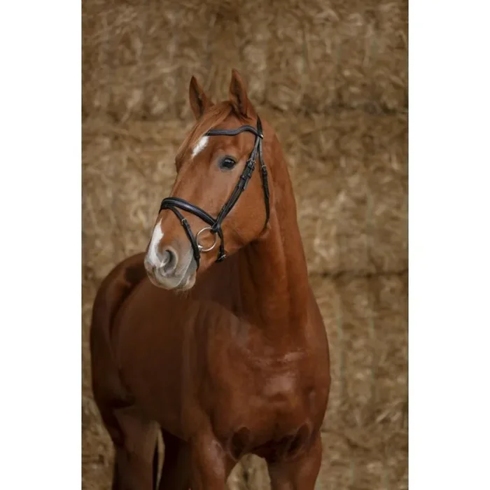 Bridles Norton Pro Perle