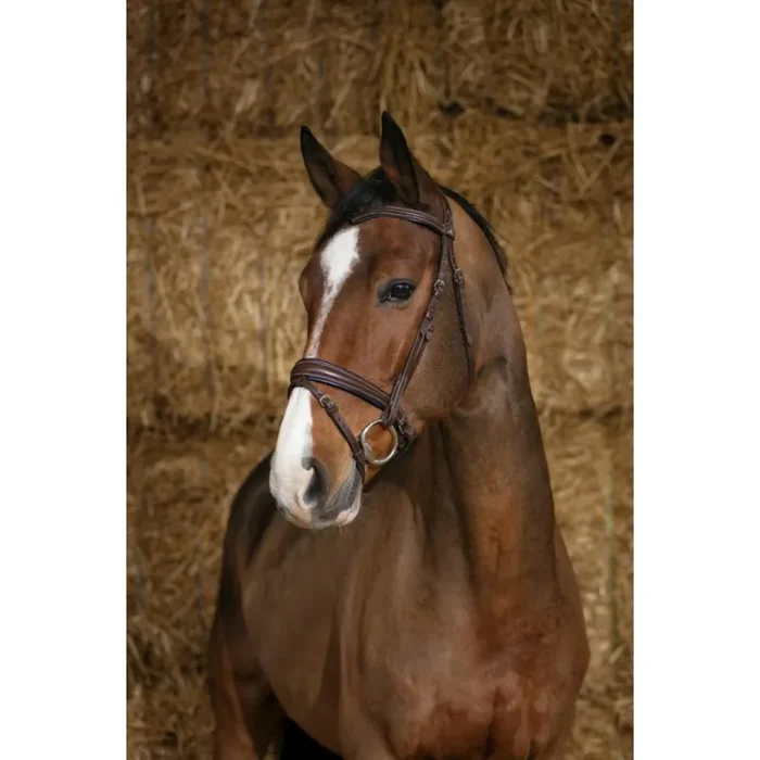 Bridles Norton Pro Satin