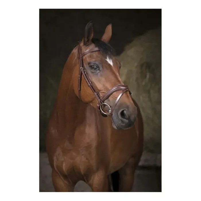 Bridles Norton Pro Vague