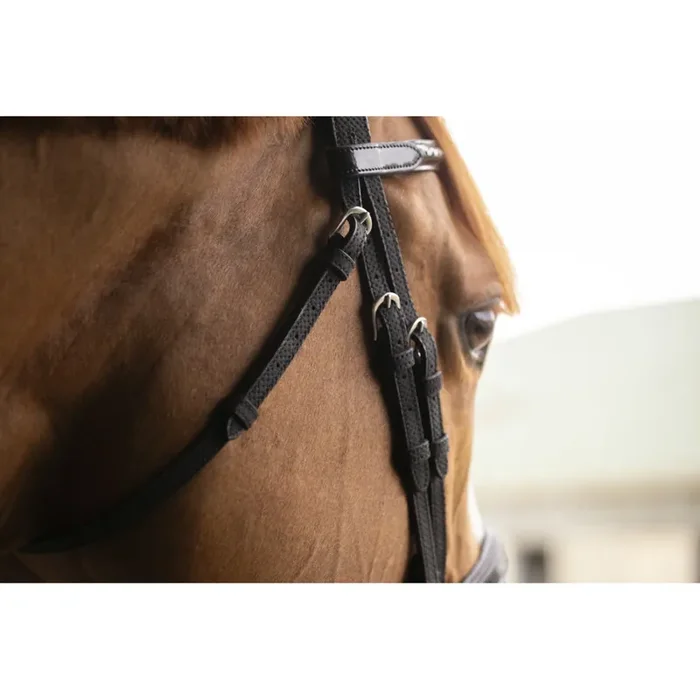 Bridles Pénélope Oxford