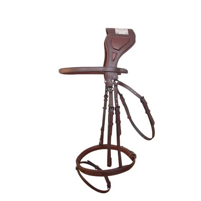 Bridles T de T Chagall