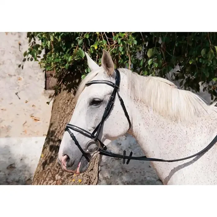 Bridles T de T Pissarro