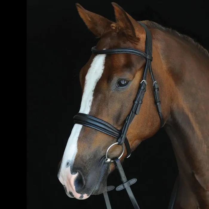 Bridles Weatherbeeta Collegiate Mono Crown